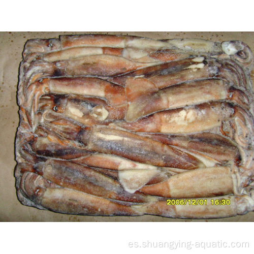 BQF de alta calidad Frozen Argentina Illex Squid Loligo